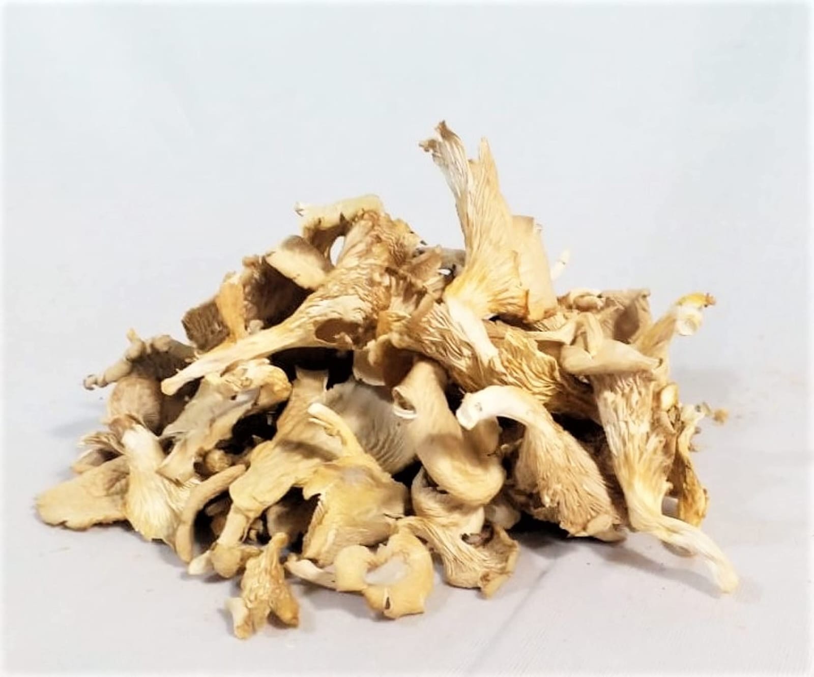 Mushroom Powder & Value Added